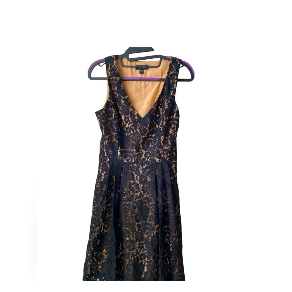 Bébé  Stunning Black Lace Mini Dress with gold lining
